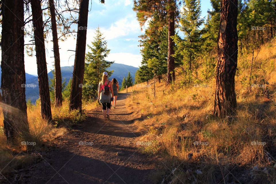 Young girls walking in forest