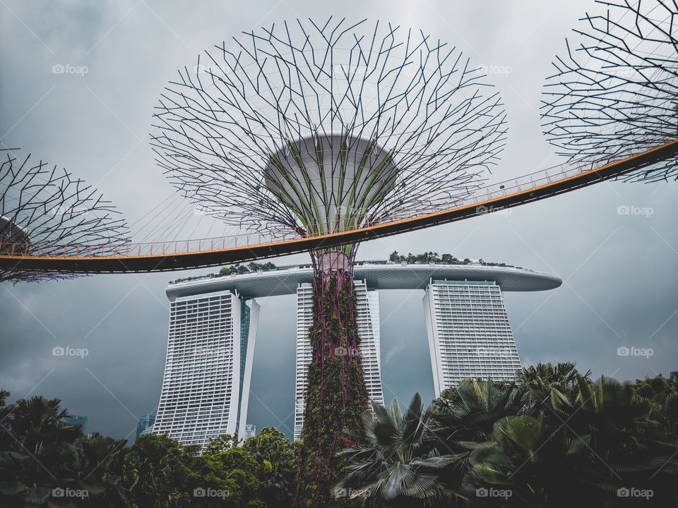 Singapore's futuristic gardens