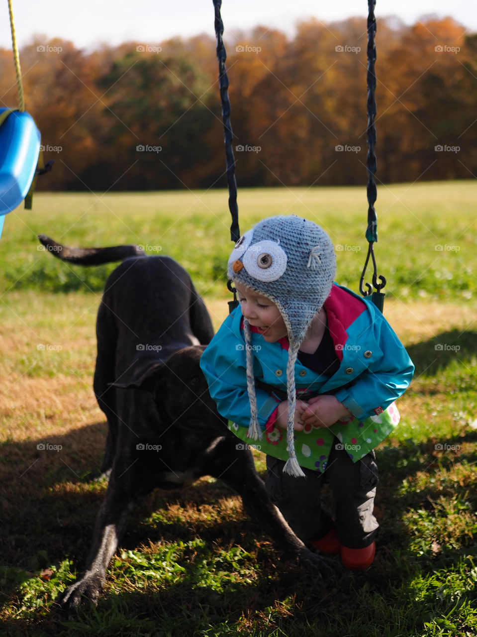 Big dog pushes little girl on the swing out in the field during the fall.