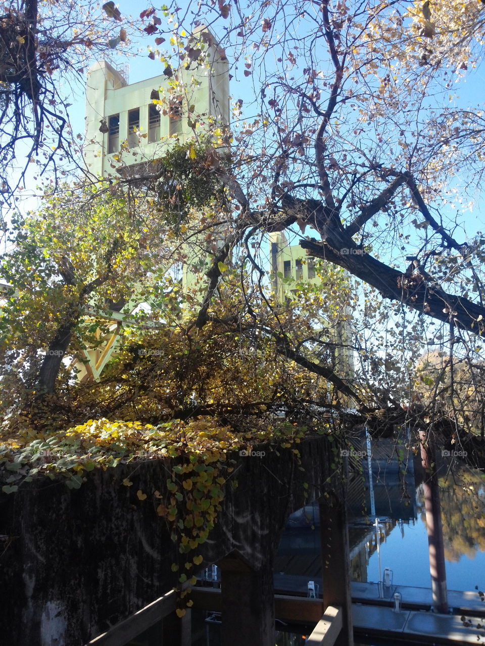 Sacramento bridge