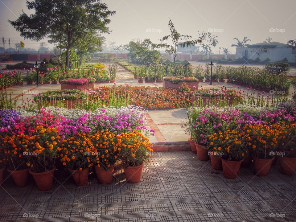 View of formal garden