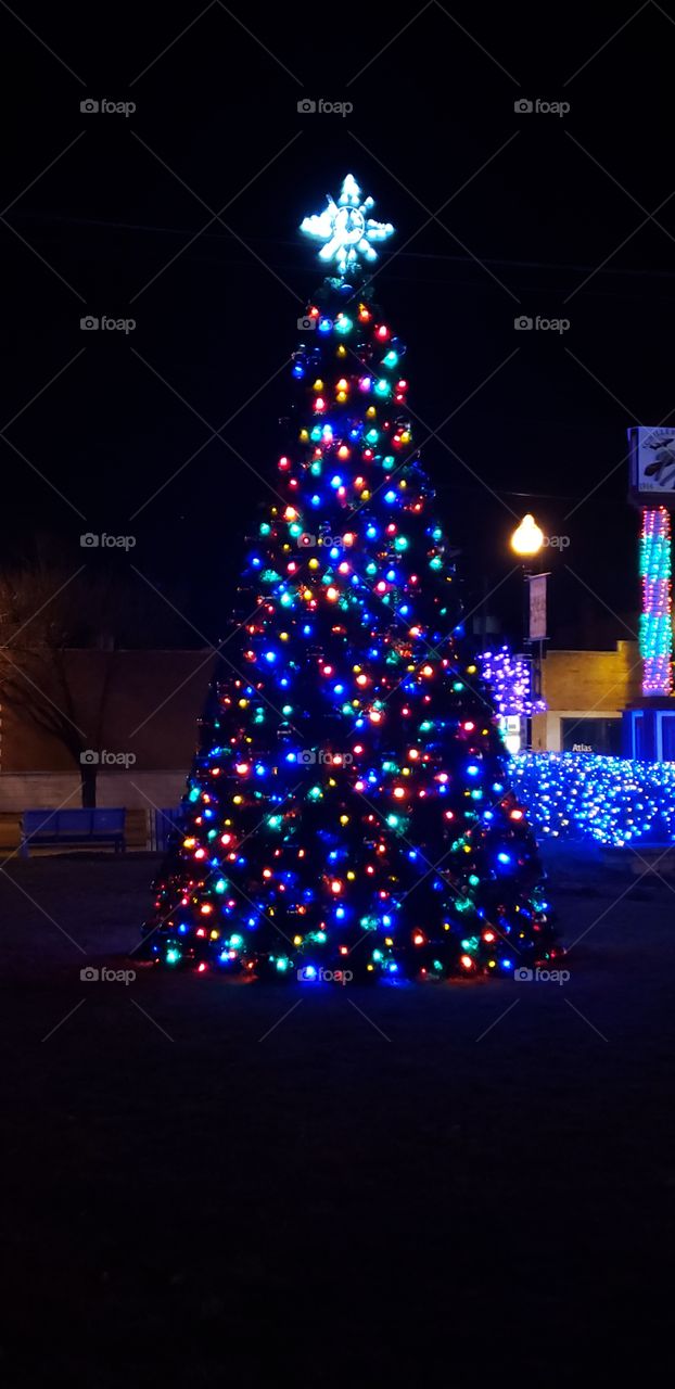 huge lighted Christmas tree in bensenville