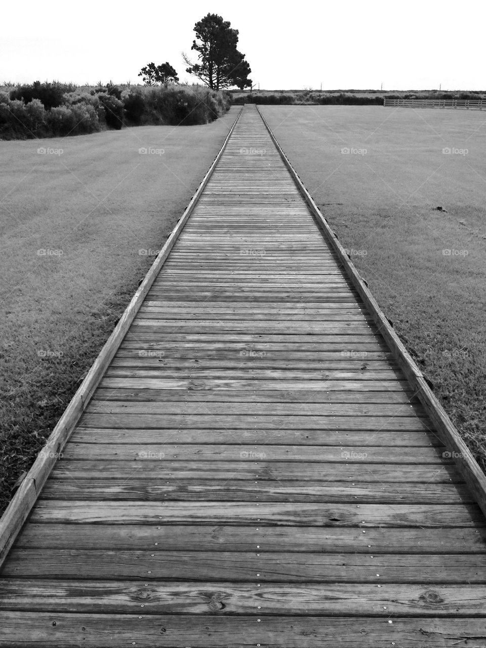 Black and white wooden pathway near the Bodie Lighthouse in the Outer Banks, North Carolina, USA.