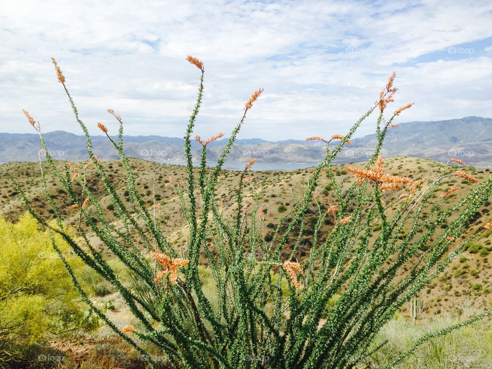 Nature, Sky, Summer, Landscape, Outdoors