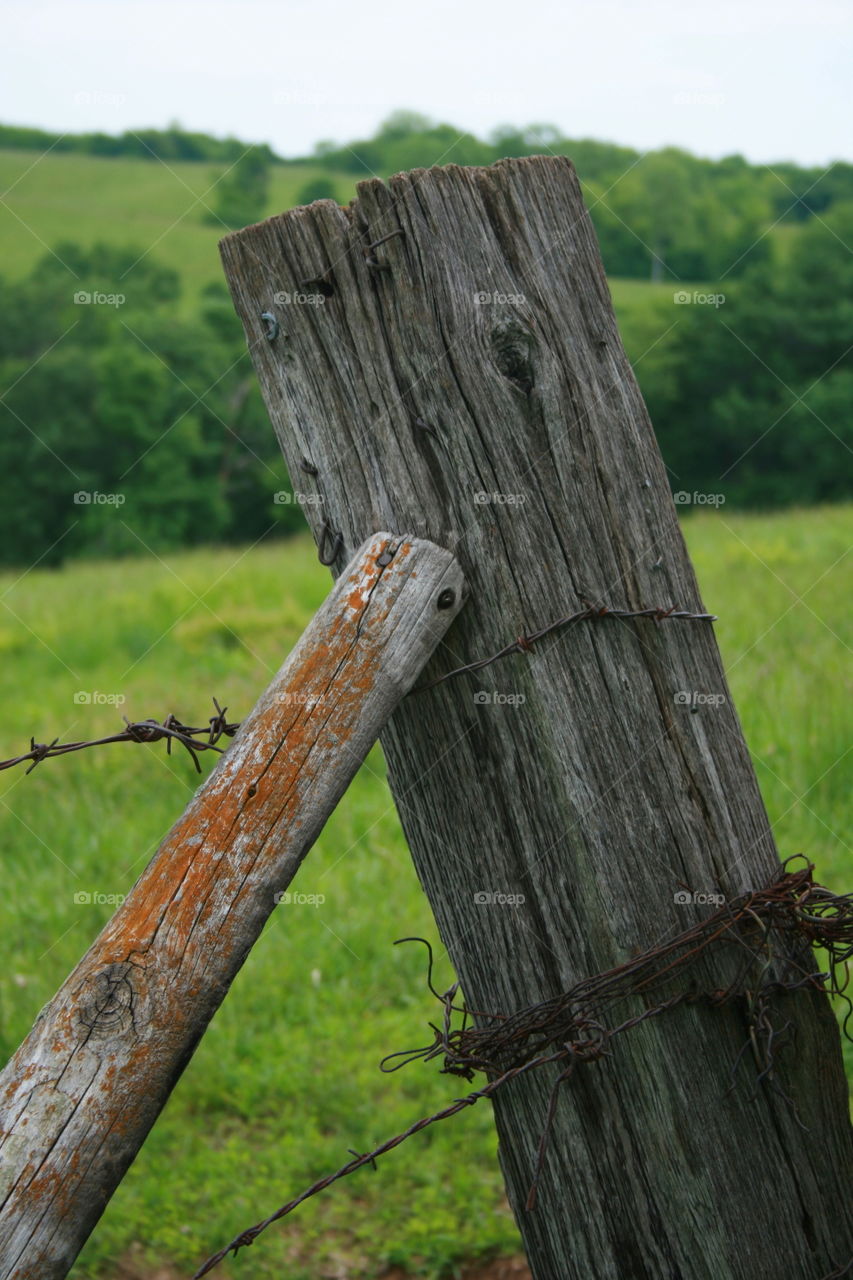 Fence Post. Fence post on the farm. 