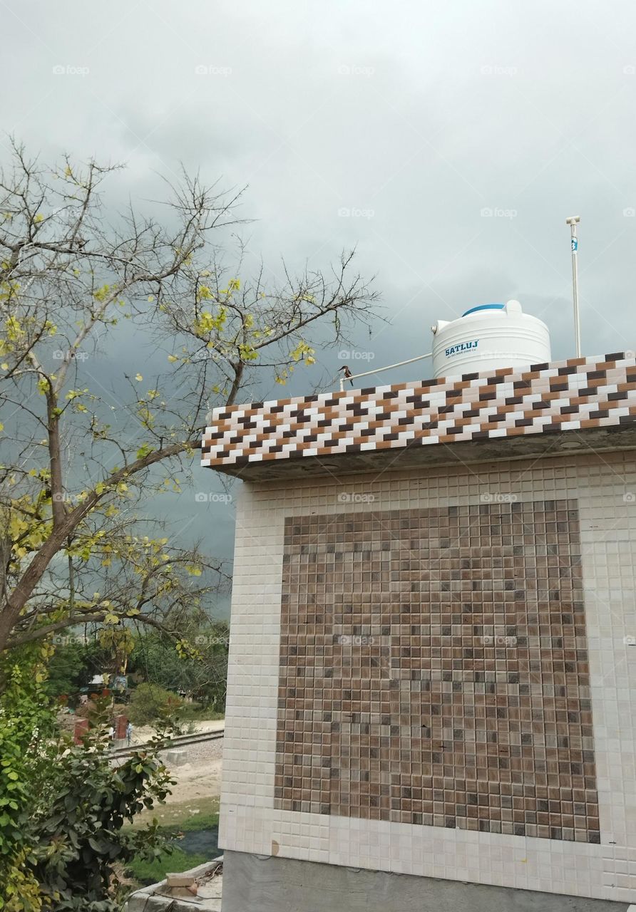 a fantastic weather and  the indian roller bird or blue ray , find the bird