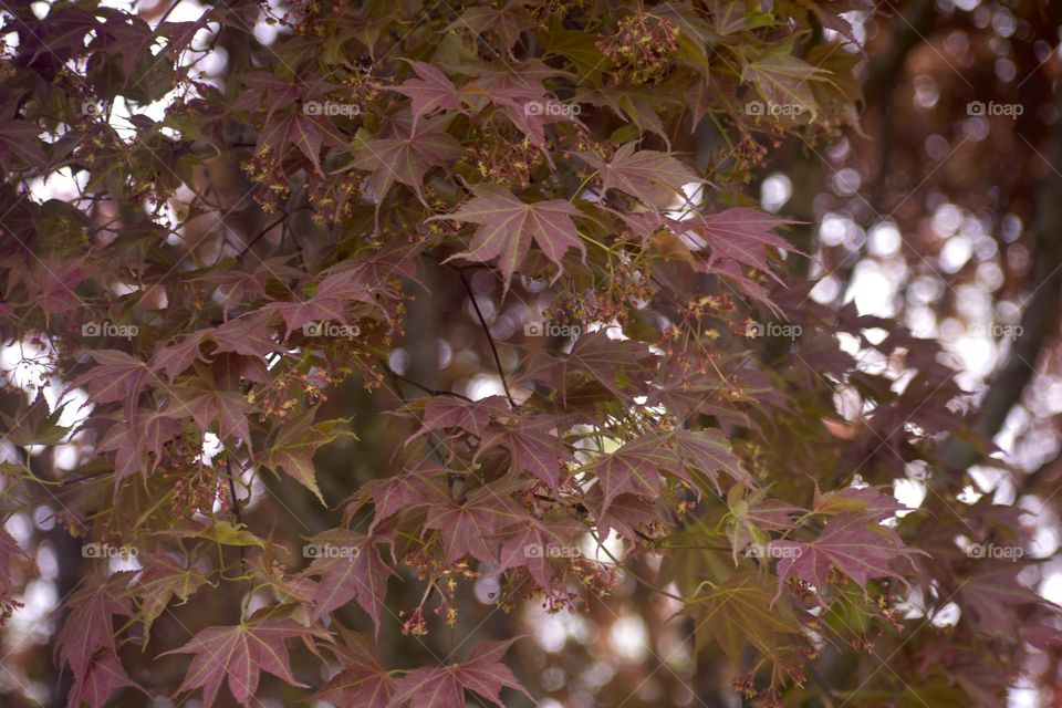 Autumn Is Approaching 