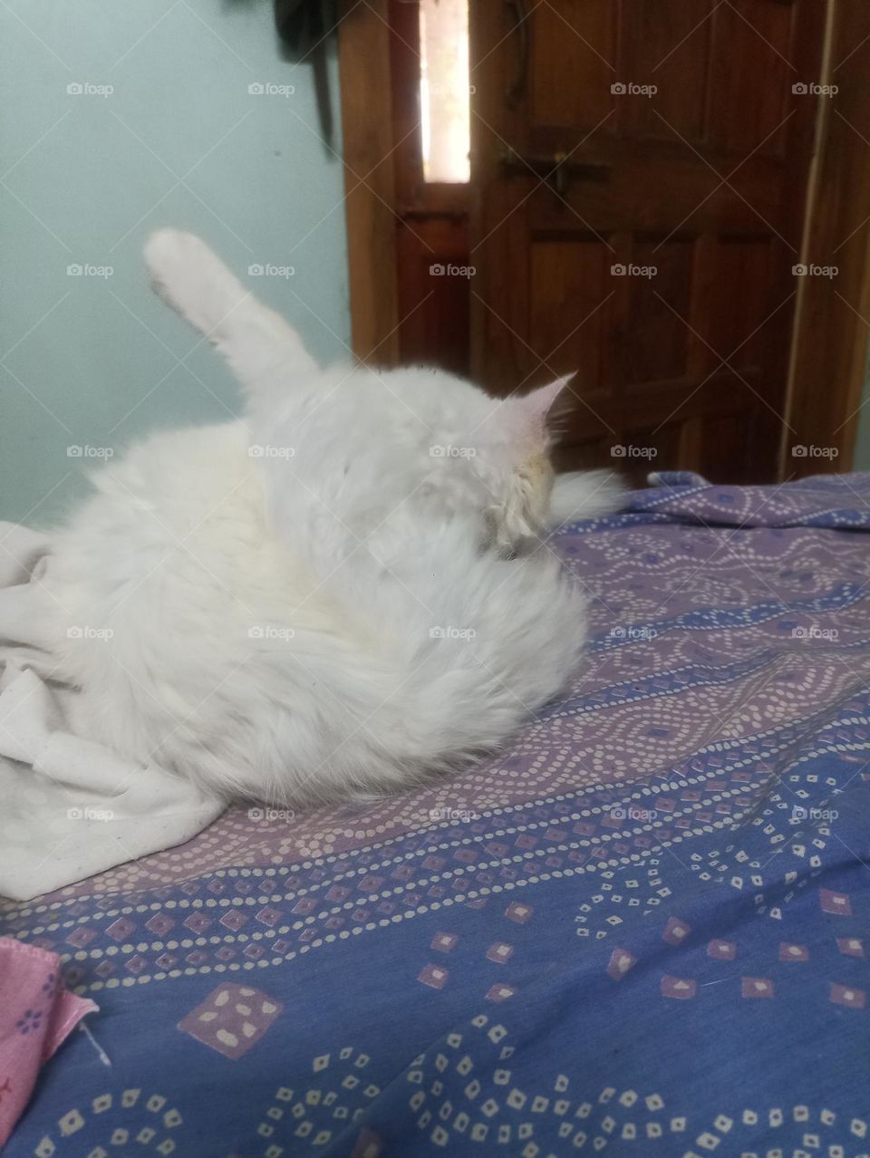 one leg up one leg down now turn around