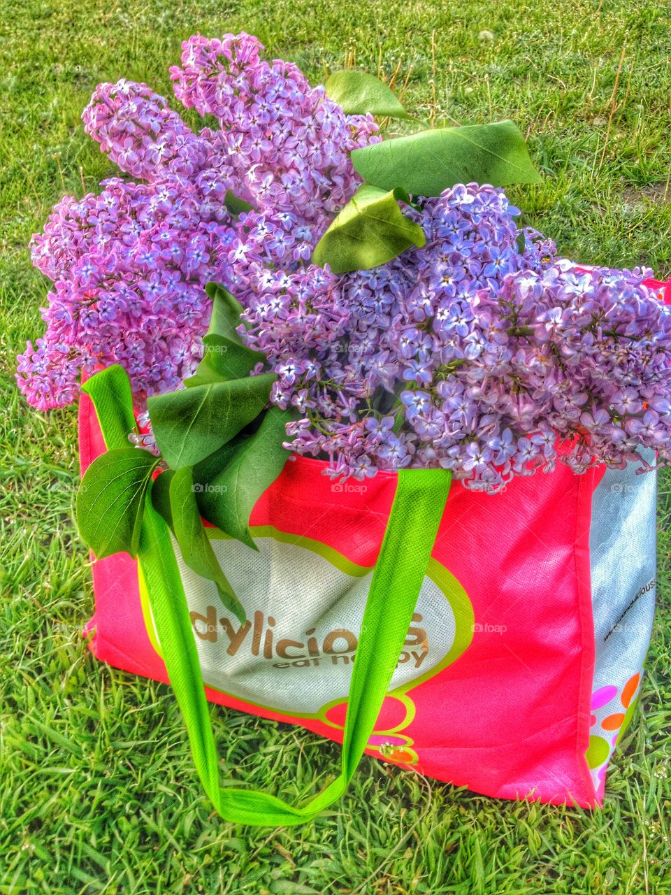 Lilacs in my bag