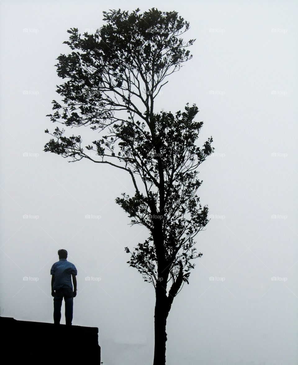Feeling lonely like a tree on the top of hill. As you reaches high in life, you always be feel lonely..