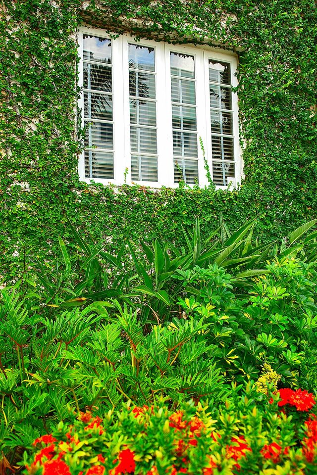 garden