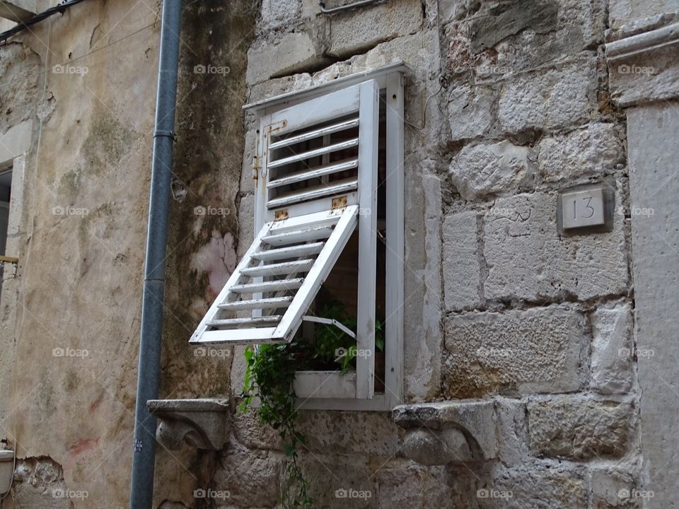Window