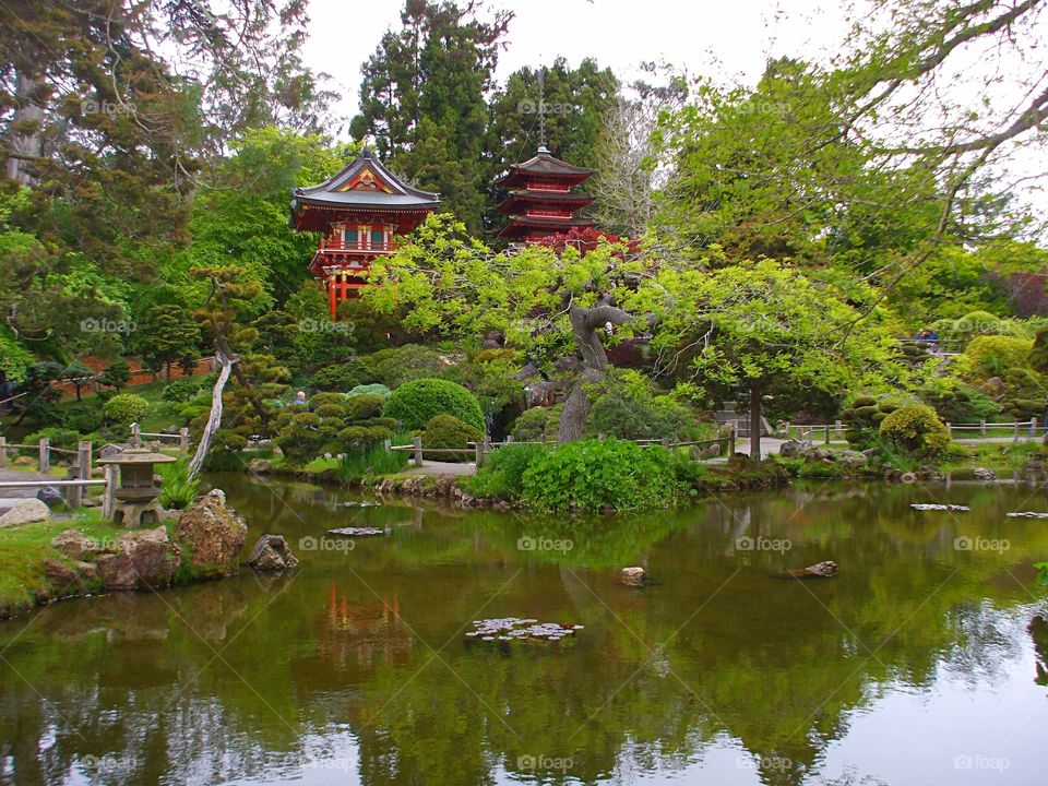 special reflection of japanese garden into a lake