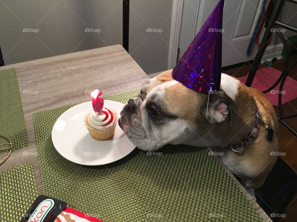 Blow out your candles and celebrate!!