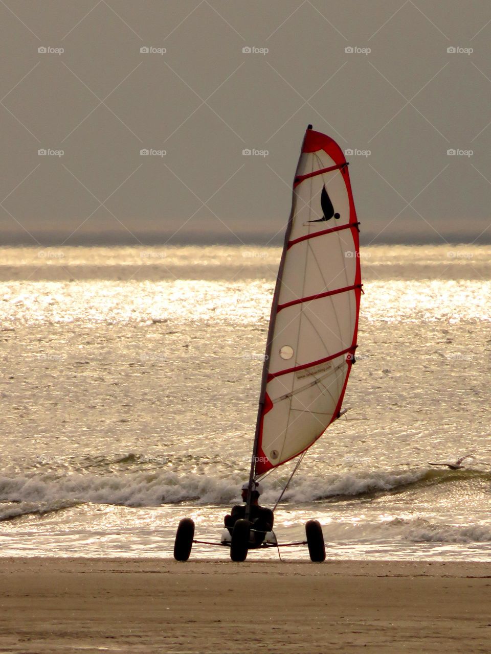 sailing at sunset