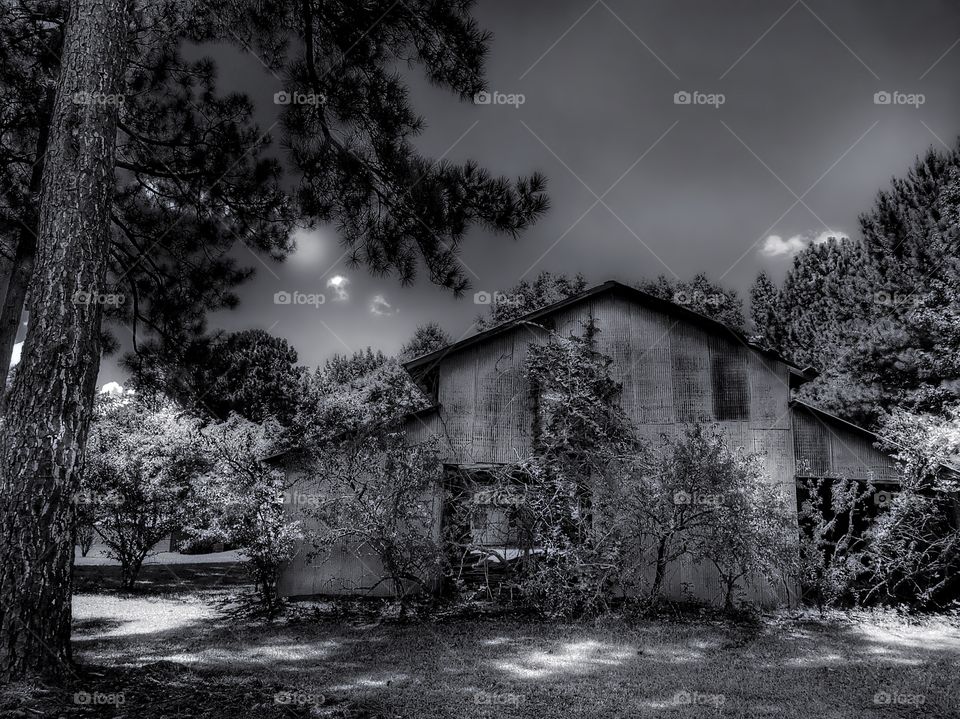 Abandoned Old Barn (Alternate Version)