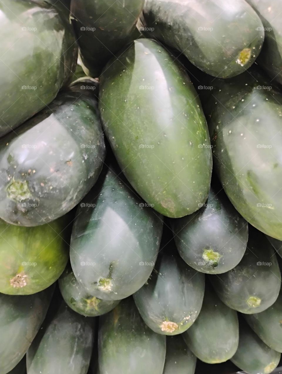 O pepino comum é um alimento rico em água, fibras, vitaminas e minerais. Ajuda a manter o peso saudável