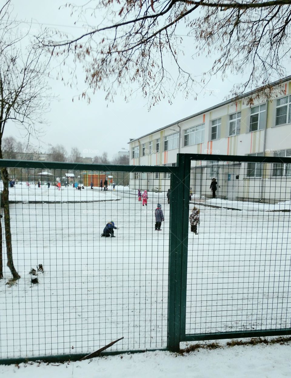 Kids and winter