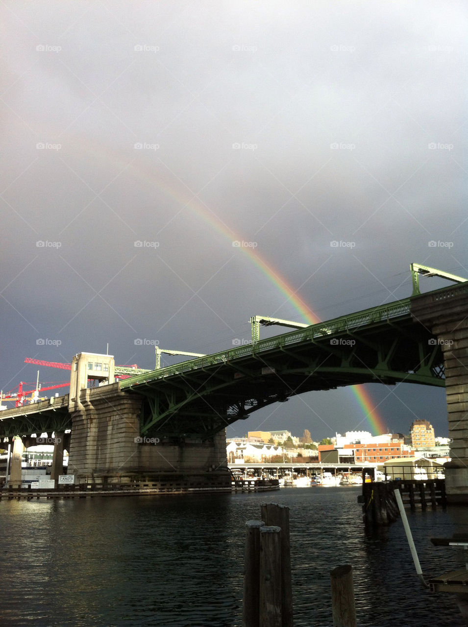 rainbow bridge university seattle by sara