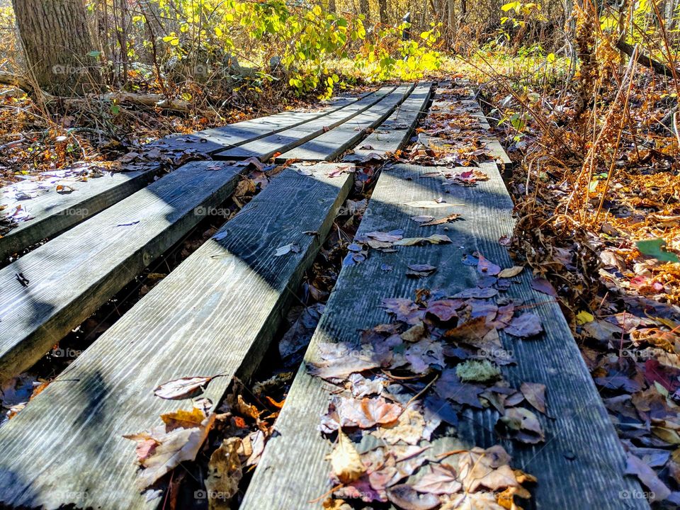 a walk in a fall day