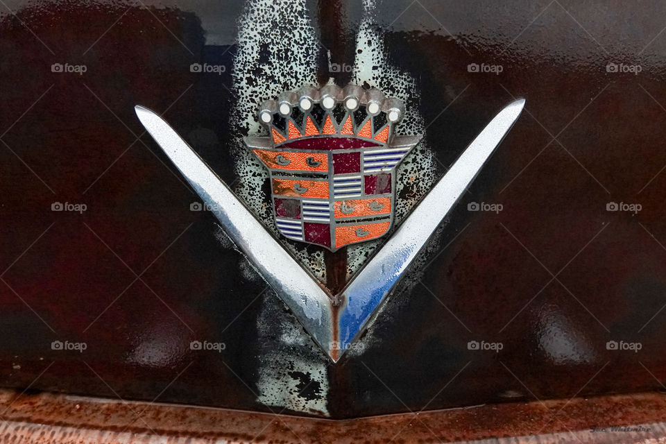 A classic Cadillac emblem from the 1950's sits decaying in a field, holding up remarkably well against the ravages of time