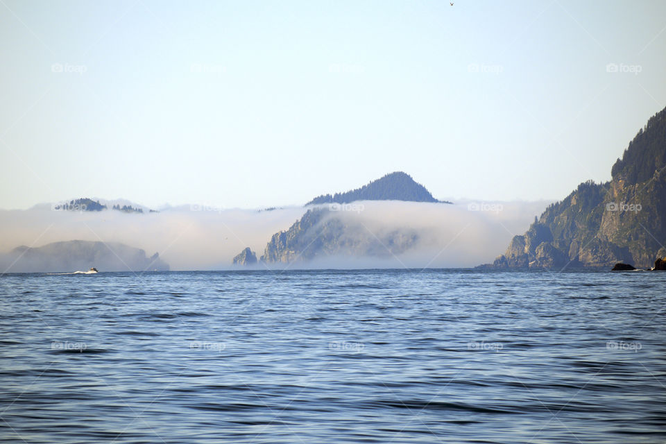 Fog over the Water