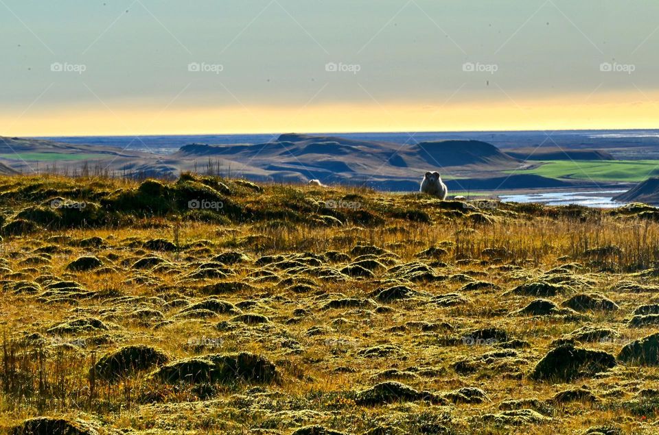 Leaving the ring road and explore the Icelandic countryside 