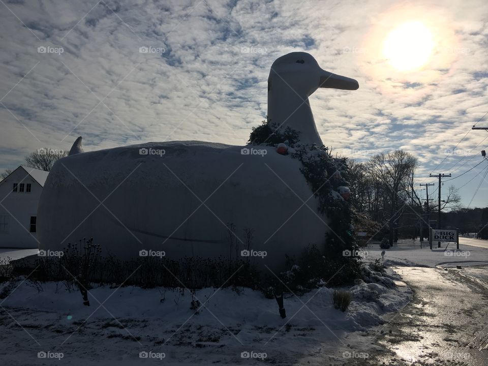 Long Island big duck folk art
