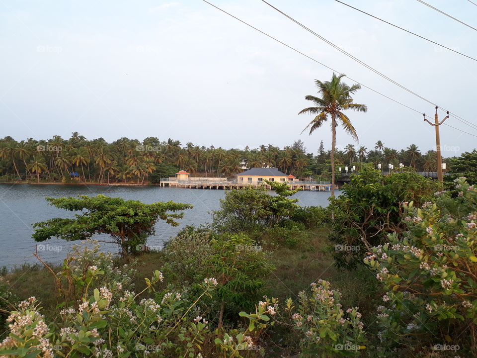 backwaters