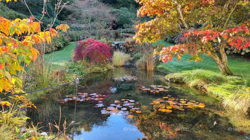 Autumn colors