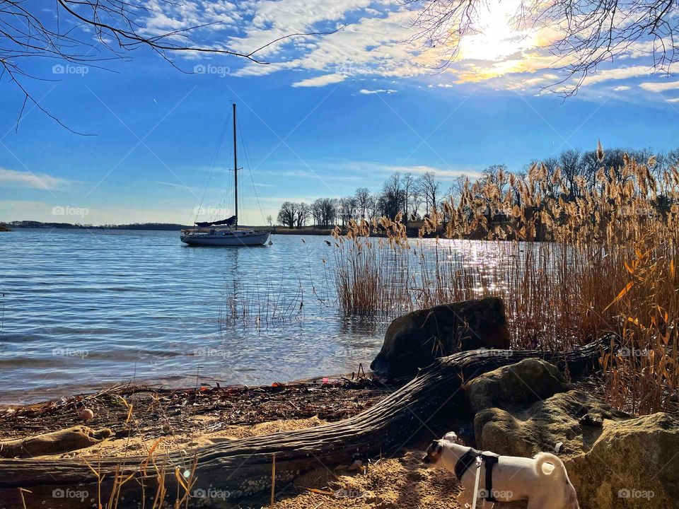 Sailboat in a hidden cove