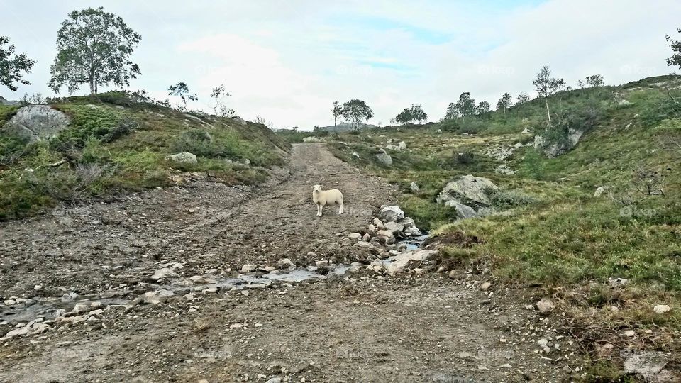 The rough nature in Norway