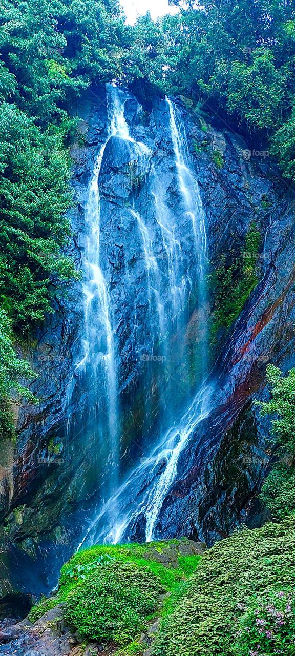 Nature's Thread: A Glimpse of a Thin and Petite Waterfal