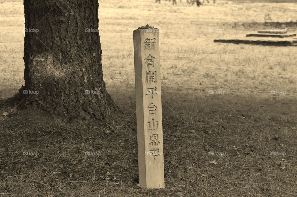 A closeup of a stone marker at a Japanese-Chinese cemetery set beside an old tree. I don’t know what the characters say but it would be great if someone could translate fo me???