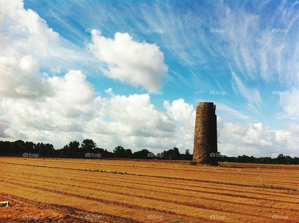 gemähtes Kornfeld mit blauem Himmel