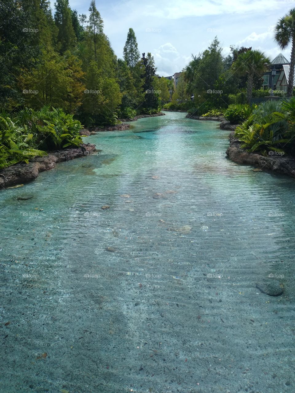 a fresh water spring flowing through Disney Springs, Beautiful