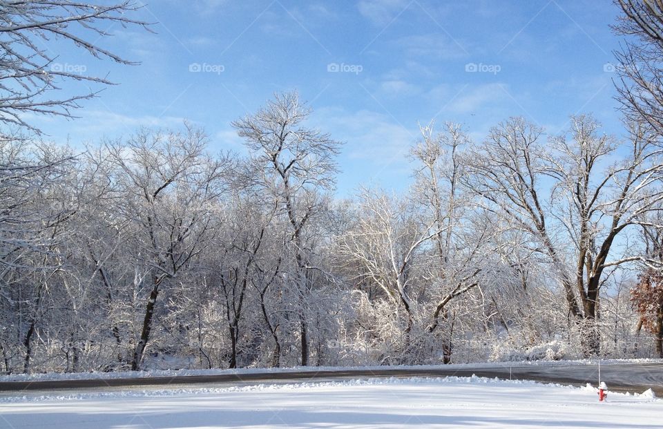 Snow-covered ground bright sky. Beautiful landscape after a fresh snow but the bright blue sky