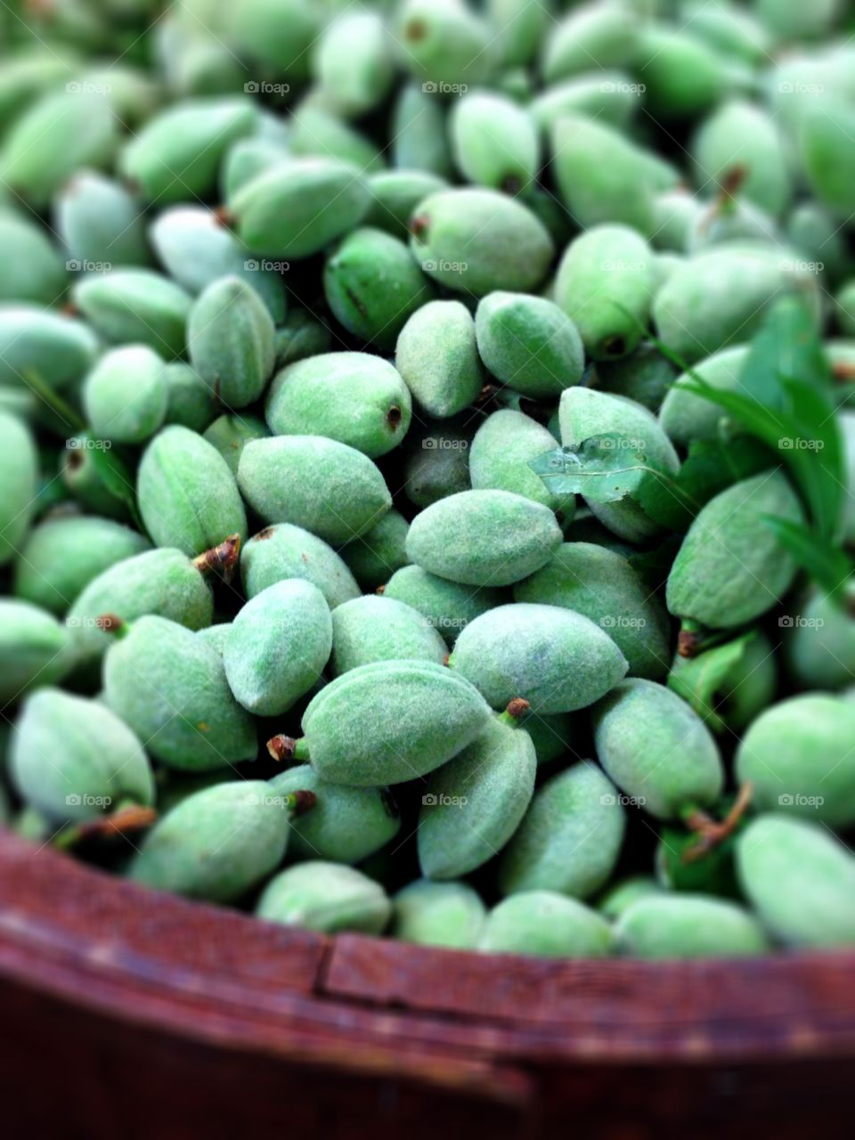 While raw almonds. Fresh green almonds in their shell. Raw almonds at a local market.