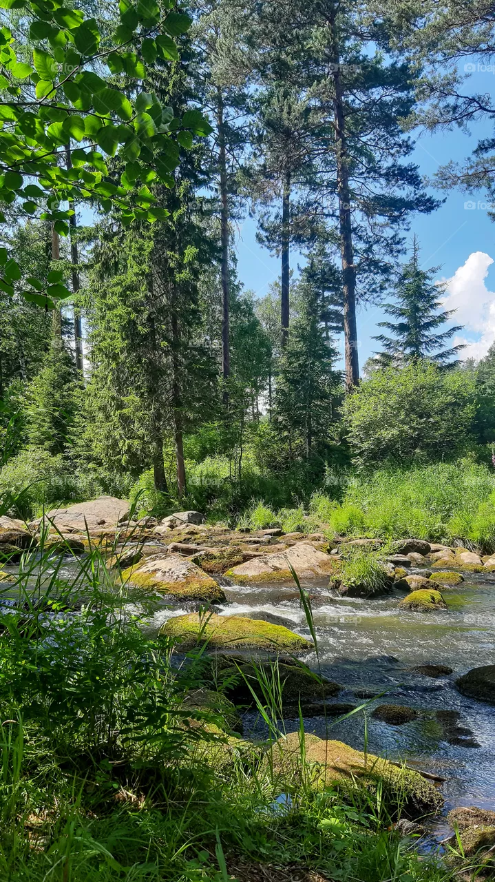 Olha River.
