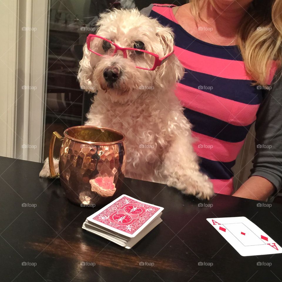 Poker and Moscow Mule!!