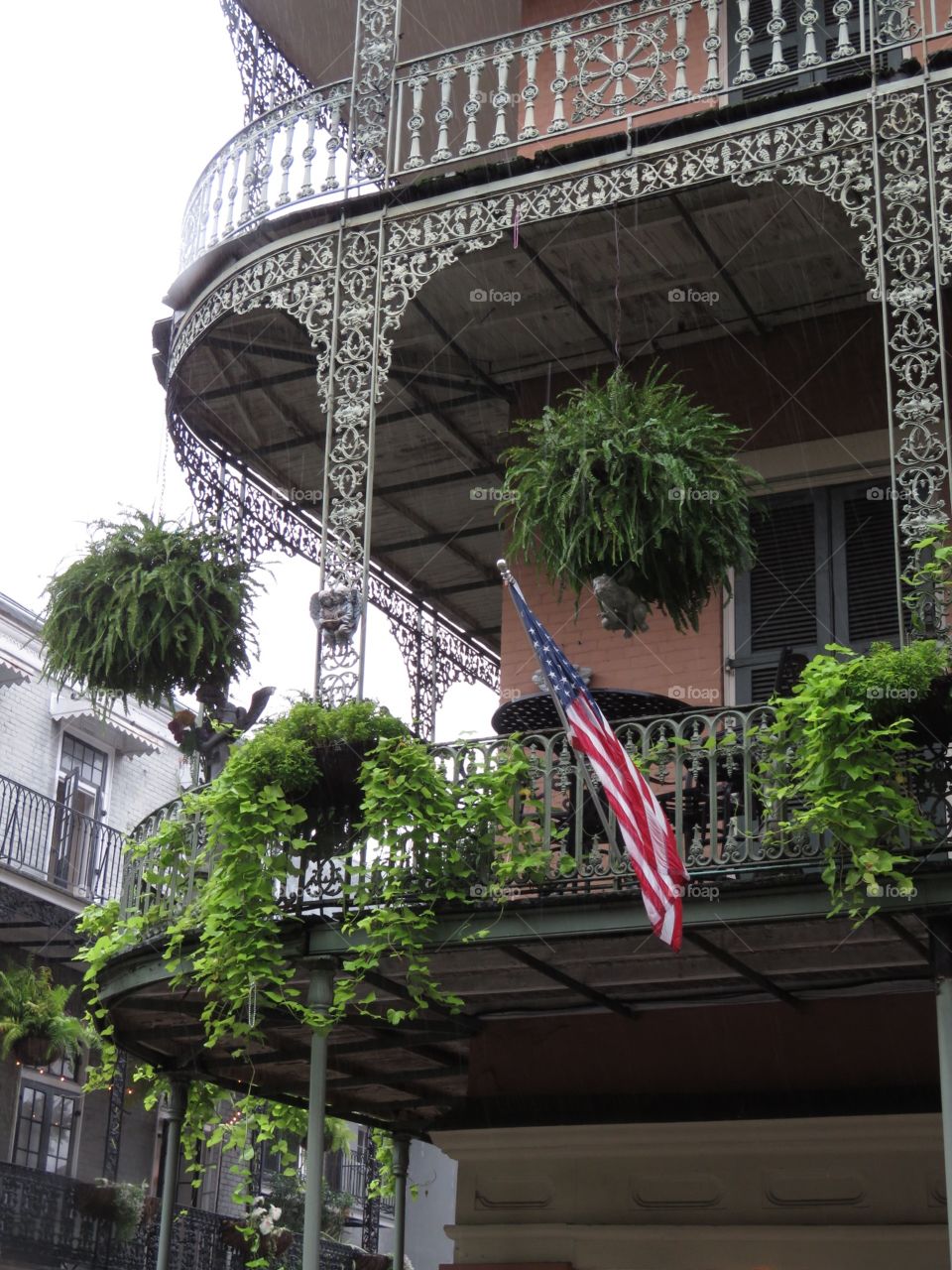 New Orleans 