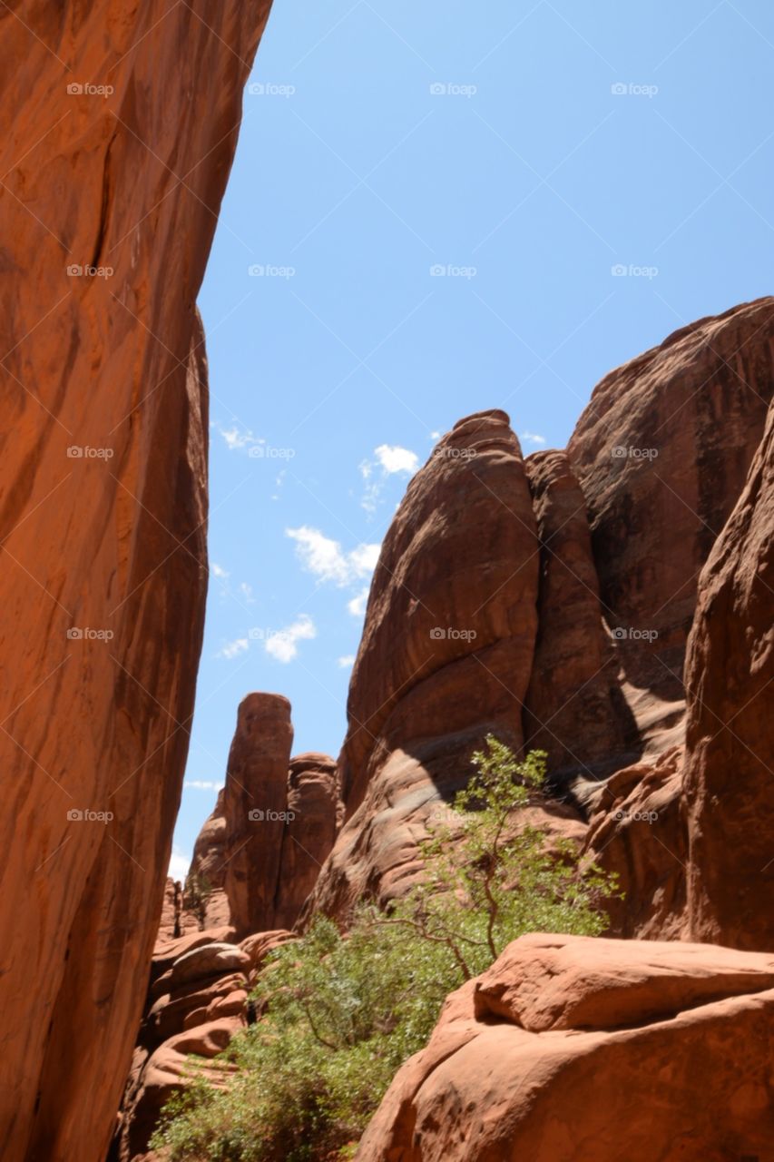 Moab Utah, Arches National Park