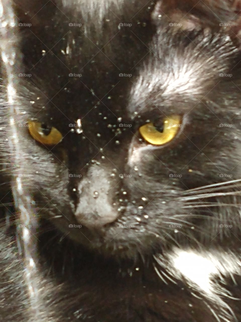 Lilly watching the water