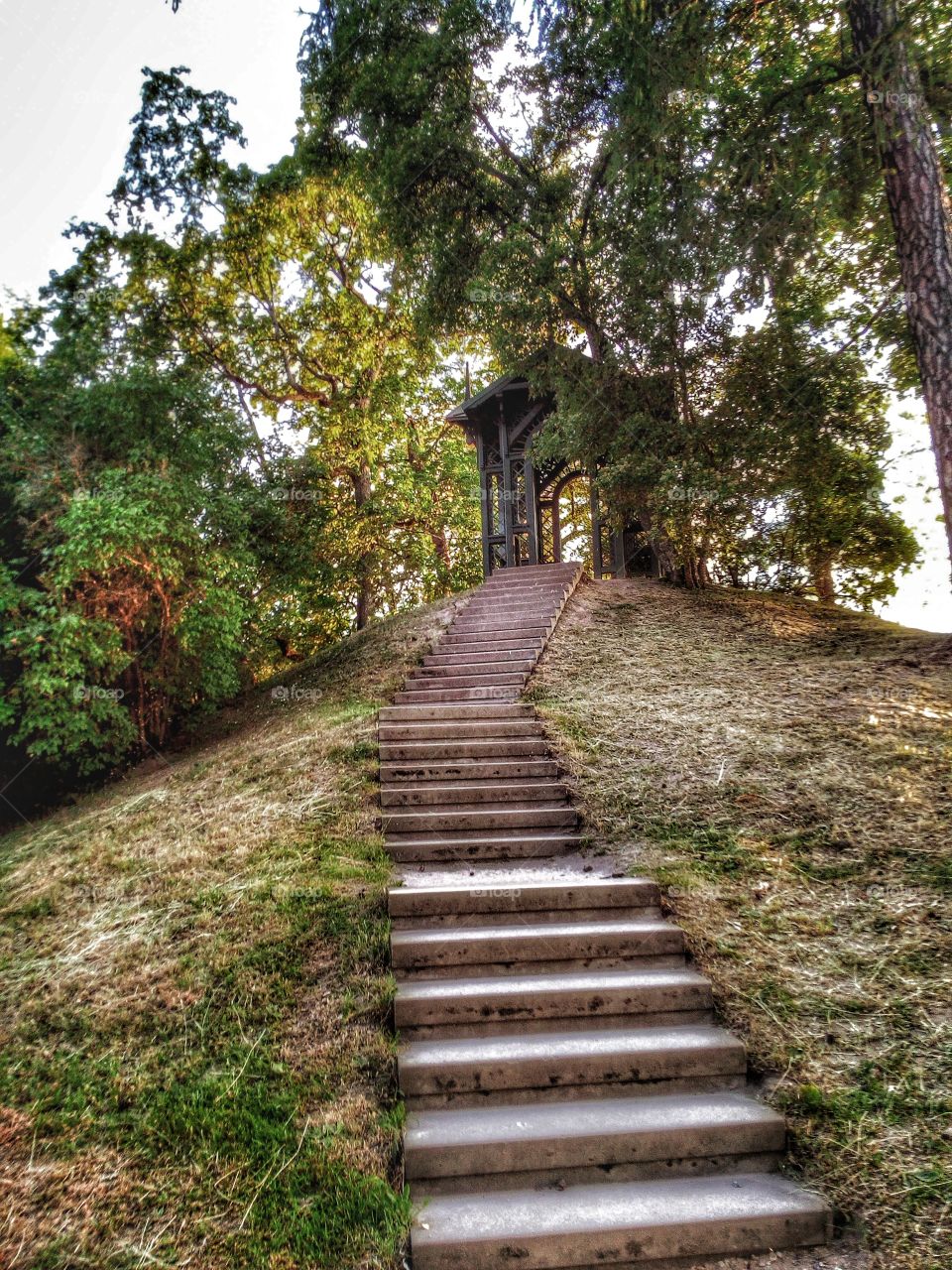 "Wheresoever you go, go with all your heart."
~Confucius