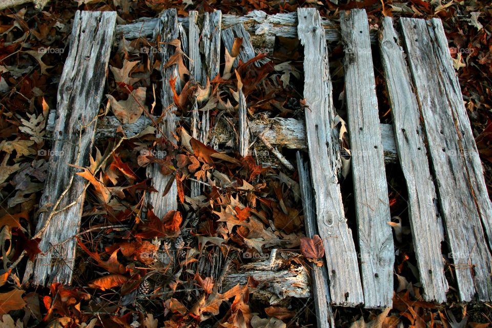 texture of weathered wood being naturally recycled.