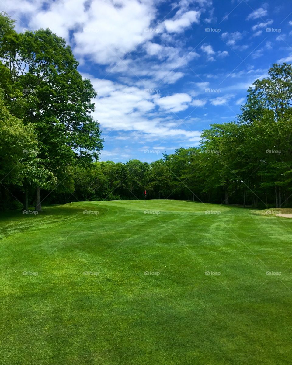 What a gorgeous view! 