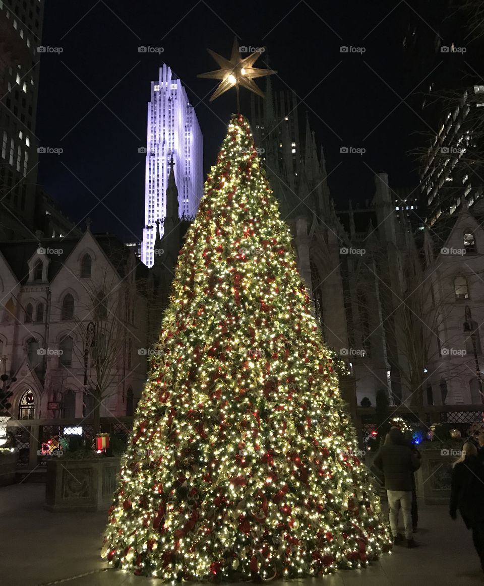 Manhattan Christmas Tree Hotel