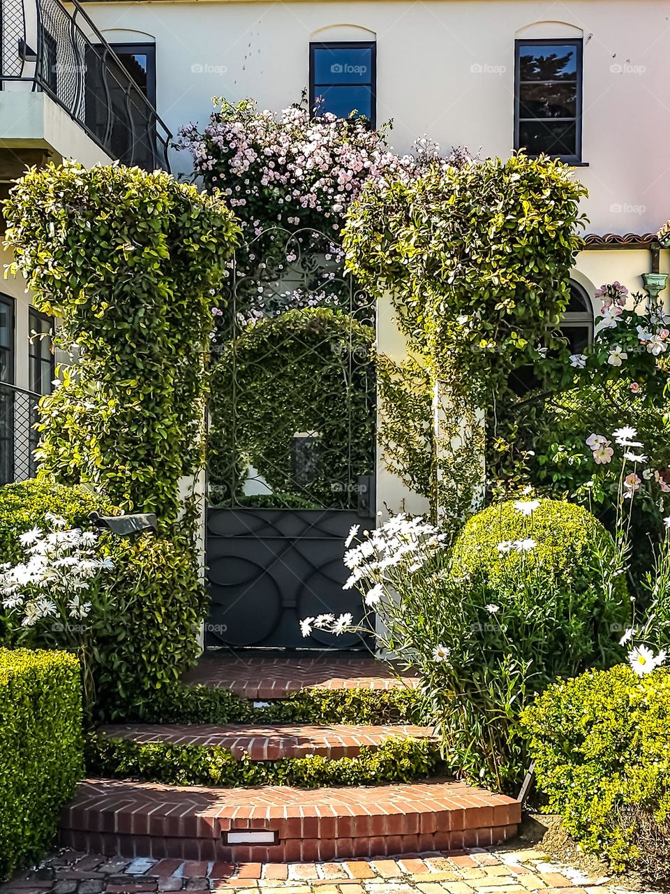 Spring is in full bloom in this urban garden landscape in San Francisco California with its classic architecture and lush plants