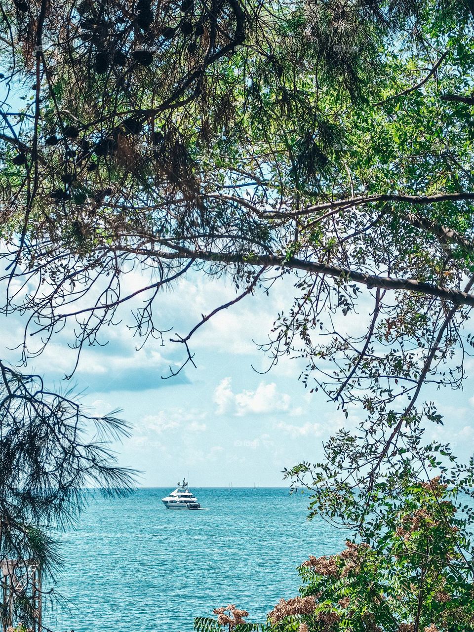 Yacht at sea