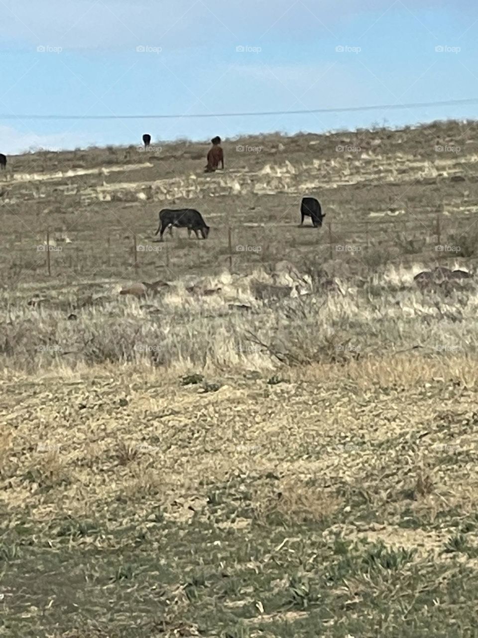 Living in peace and joy.